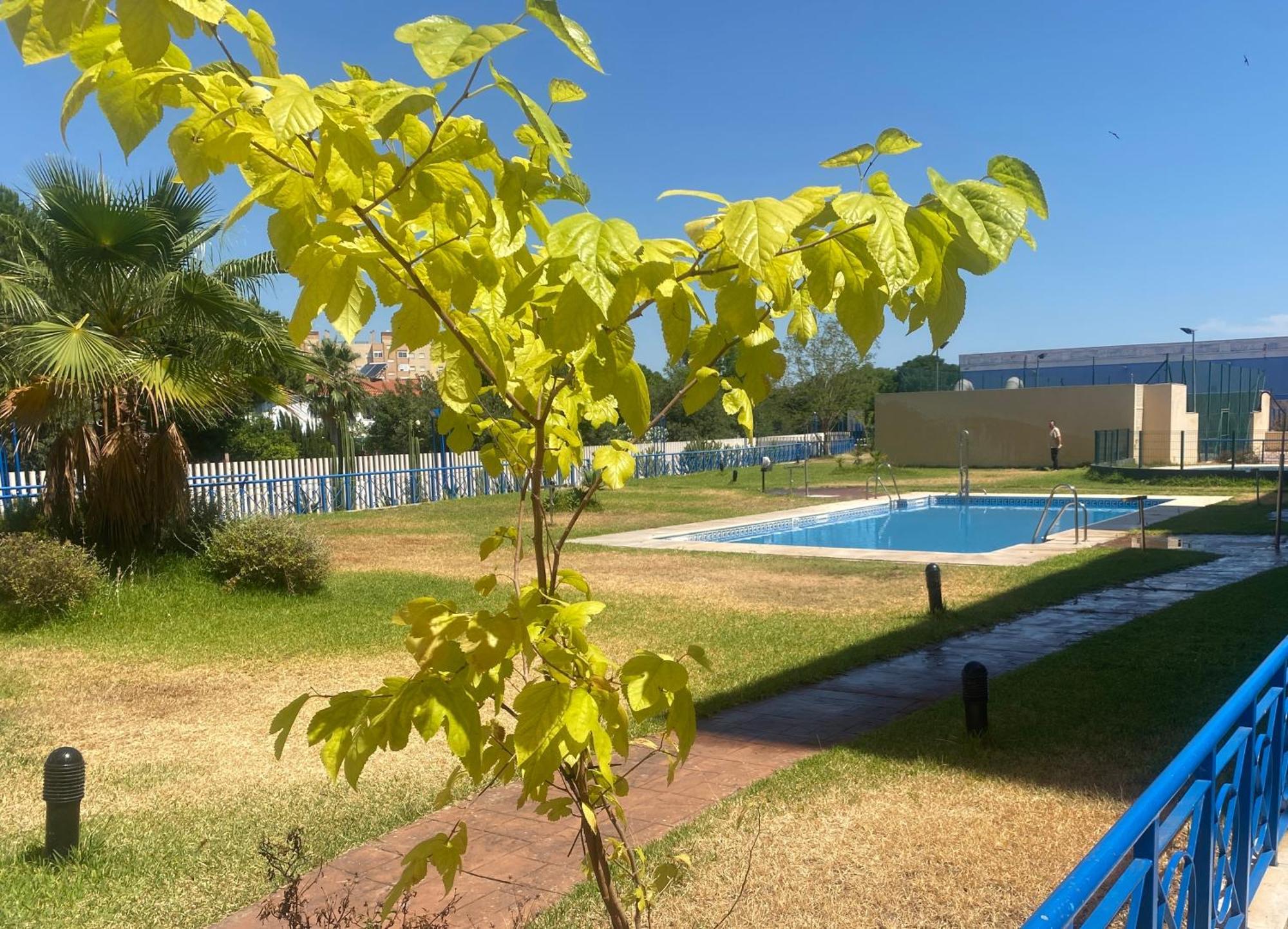 Fibes Apartamento Con Piscina Y Parking Gratis Seville Exterior photo
